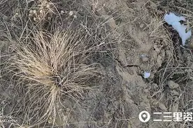 横山一煤矿采空区塌陷致村民祖坟塌陷，煤矿称愿意补偿2.5万元搬迁费图片