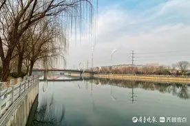 情报站｜济南小清河五柳岛你去逛过吗？冬日里多了一份静谧之美图片