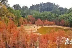 抄小道进番禺大夫山，少女深夜探险迷失山上图片