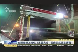 崧泽高架上跨G15吊装完成  国庆正式通车运营视频封面