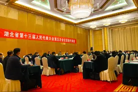 湖北省人大代表、宣恩县县长习覃：希望宣恩人民能坐上火车 让脱贫成果更加巩固图片