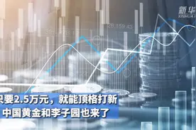 只要2.5万元就能顶格打新 中国黄金和李子园也来了视频封面
