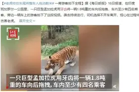 没有一口好牙，怎么出来混？图片