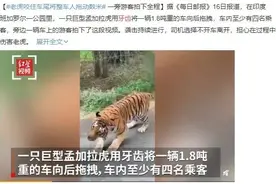 没有一口好牙，怎么出来混？图片