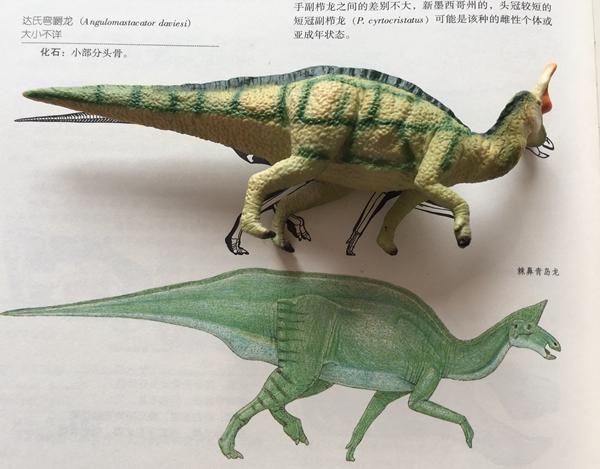 知道怎么买书，就能知道怎么卖书：一位图书发行员的从业故事