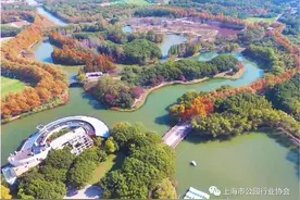 世纪公园今年“五一”起免费开放图片