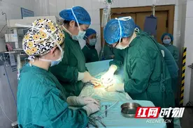 岳阳：双胎妊娠风险知多少？“双喜临门”的福与祸图片