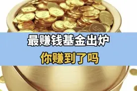 最赚钱基金出炉 你赚到了吗？视频封面