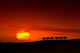 为什么阳历月的天数如此不同？图片