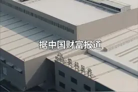 中国财富报道｜手套“大卖”，这家公司业绩大增40倍，股价暴涨28倍视频封面