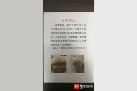 宠物犬丢失多日后才报警，民警仅用大半天就找到图片