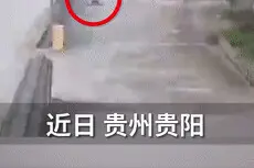 妹妹学步车失控，哥哥脚踩滑板车冲过来……图片