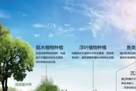 精耕细作水污染治理 打好碧水保卫战图片
