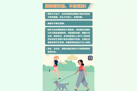 遛狗拴绳入法！5月1日起正式施行图片