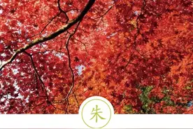 聆听汉字之美：《花草字传》，了解“朱”图片