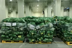 记者探访深圳应急蔬菜储备库：检测合格方可入库，定期轮换确保新鲜安全图片