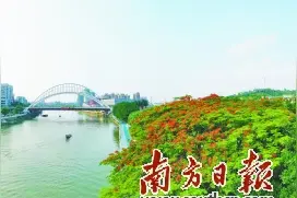 “五个三”战法绘开局之年美好蓝图图片