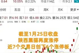 中国财富报道|这只“黑猫”七个交易日创下六连板，原来是这个价格大涨视频封面