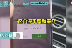 湖南男子停车4小时收费51万元，男子当场气笑：够买一台新车了图片