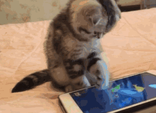 优化手机的方法（手机关掉这个开关）