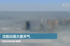 沈阳出现大雾天气视频封面