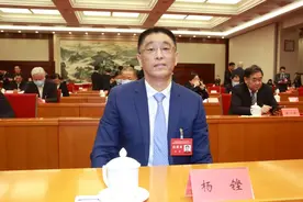 蓝光发展董事长杨铿当选中国光彩事业促进会副会长图片