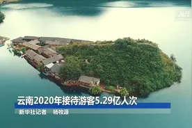 云南2020年接待游客5.29亿人次视频封面