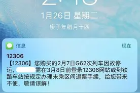 部分高铁列车春运期间因故停运 12306回应：客流不足图片
