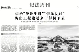 “把土地资源变成肆意切割的蛋糕”，中纪委机关报刊发张琦案启示图片