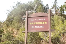 学思践悟重走连心路知行合一齐奏山海歌图片