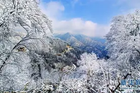 雪后的世界是另一个世界图片