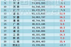31省区市2020年外贸规模排行榜出炉 19地逆势飘红图片