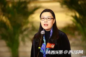 委员通道｜省政协委员孙瑜：要进一步挖掘更多《装台》这样的文化资源 讲好陕西故事图片
