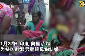 奇葩！印度男童为辟邪跟母狗结婚，只因先长了上牙图片