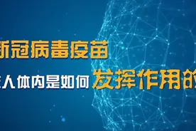 【健康解码】接种新冠病毒疫苗后多久产生抗体？专家解读视频封面