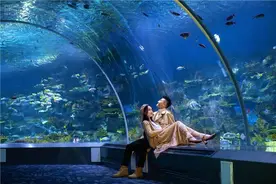 婚纱照这样拍太有创意了图片