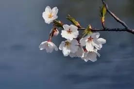 新书上架｜“立春不是春天的开始”这套科普书用气象学为你详解“二十四节气”图片