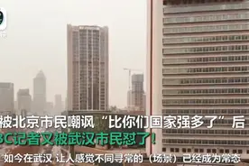“挖坑埋雷，夹带私货”？BBC记者被武汉大姐怼到原地爆炸图片