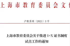 上海将推进高校和中职校进1+X证书制度试点工作图片