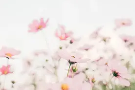 强化“广佛通衢”优势！广佛同心桥6月底前开工，石围塘还要这样变→图片