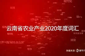 【2021云南两会】政协委员的年度关键词之“绿色”视频封面
