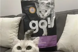 猫咪呕吐、便血！是猫粮出问题？某知名进口猫粮被集中投诉图片
