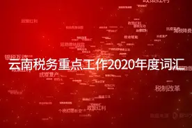 【2021云南两会】政协委员的年度关键词之“六稳”“六保”视频封面