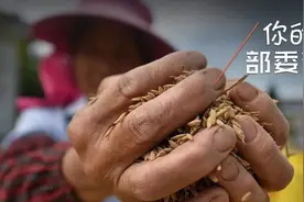 种粮补贴谁能领？农业农村部回应了图片