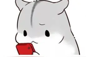 贵阳现奇葩楼梯：没扶手，难上又难下图片