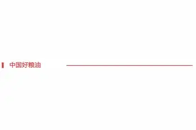 「聚焦玉米」多重冲击下 玉米价格快速下跌图片