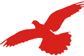 什么？八路军进城了？什么？进来三回了？图片