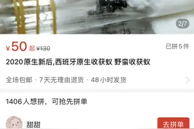 宠物活体也能装进盲盒售卖？打开是惊喜还是惊吓？图片
