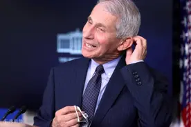 福奇是收入最高的美国联邦政府雇员，年薪超41万美元图片