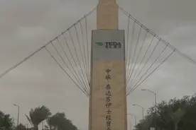 中埃·泰达苏伊士经贸合作区成埃及单位产出最高工业园区视频封面